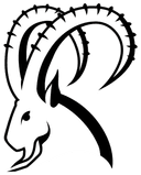 Ibexx logo